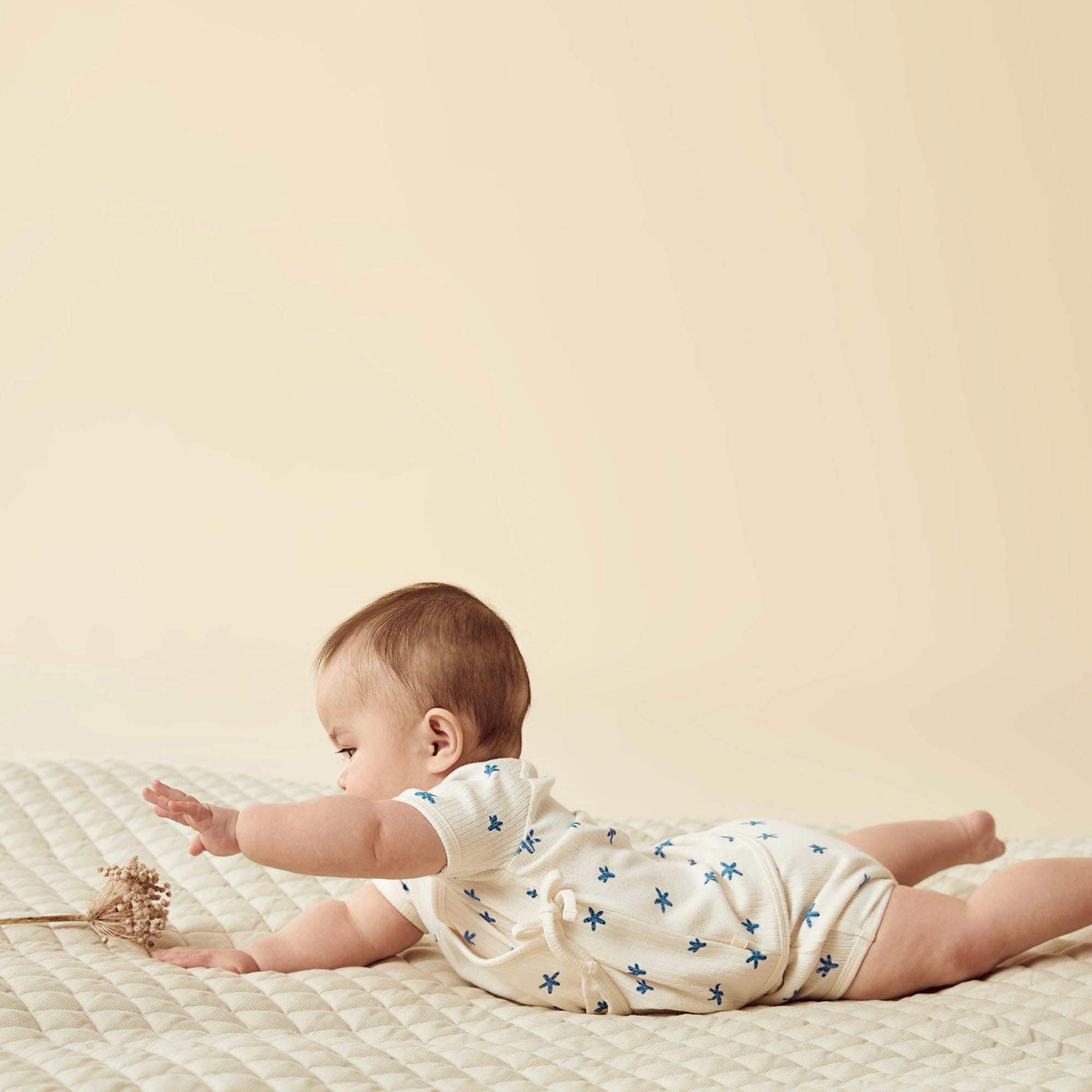 Little Starfish Organic Rib Nappy Pant