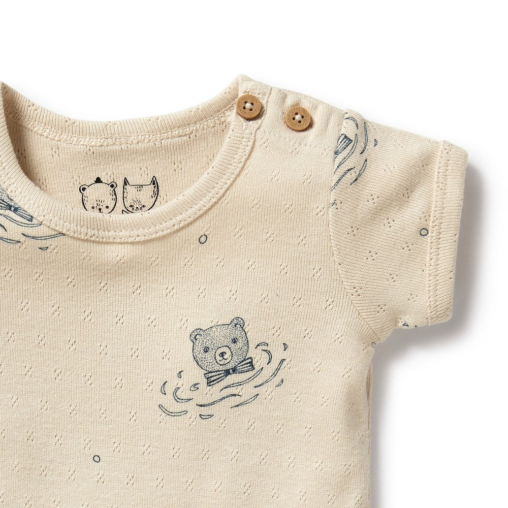 Little Bear Organic Pointelle Bodysuit