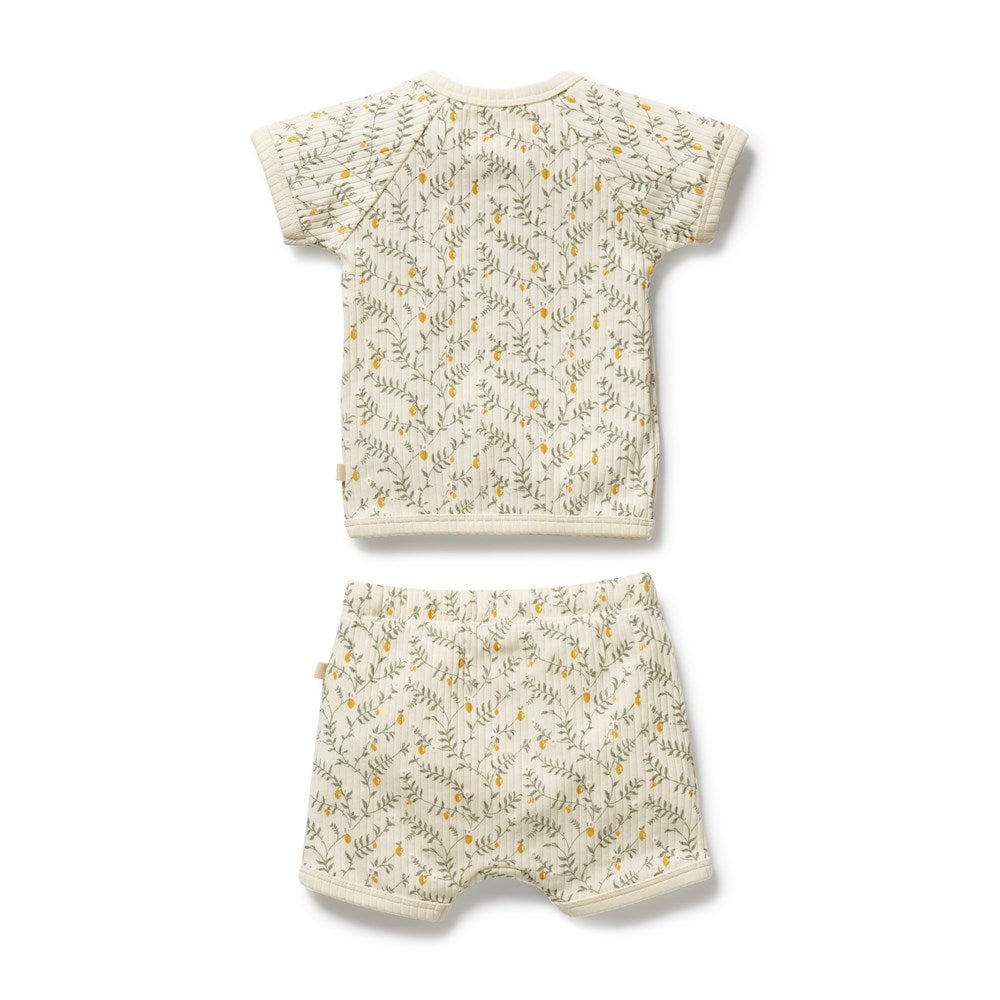 Lemon Leaf Organic Kimono Set