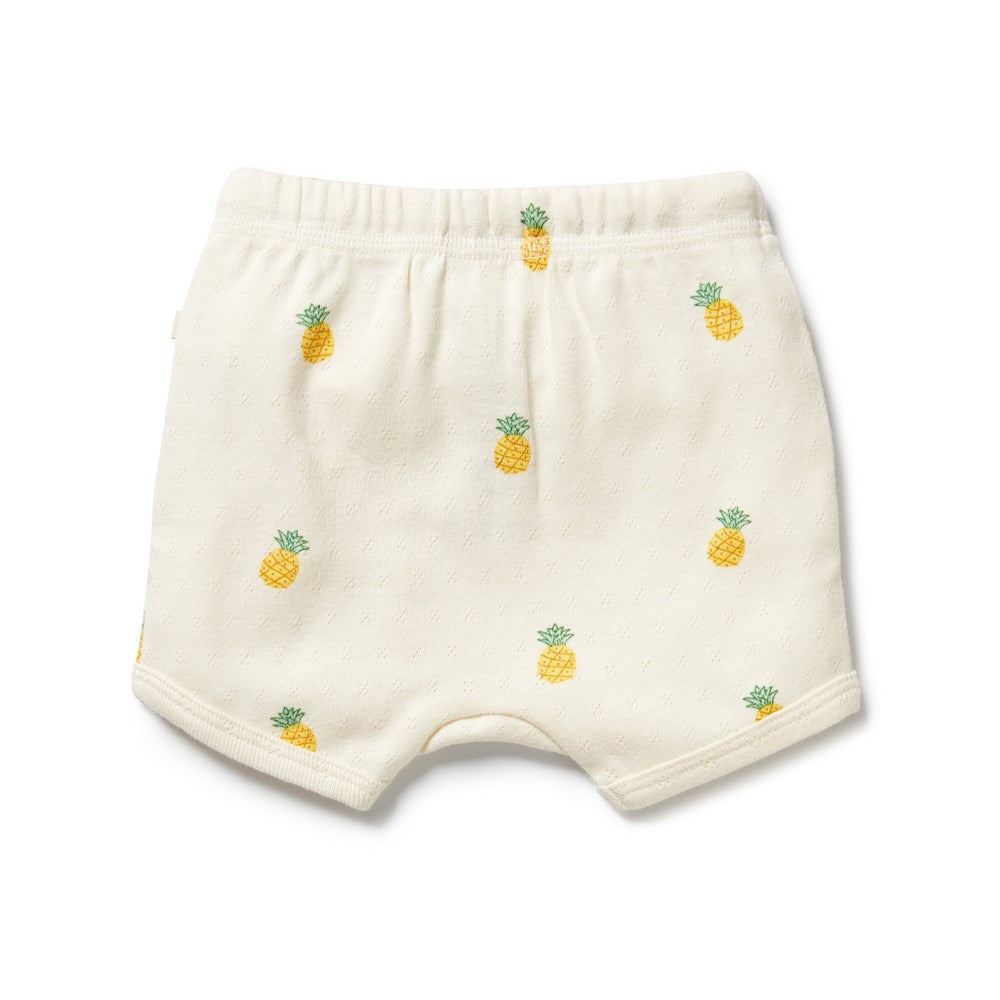 Piney Pals Organic Pointelle Short