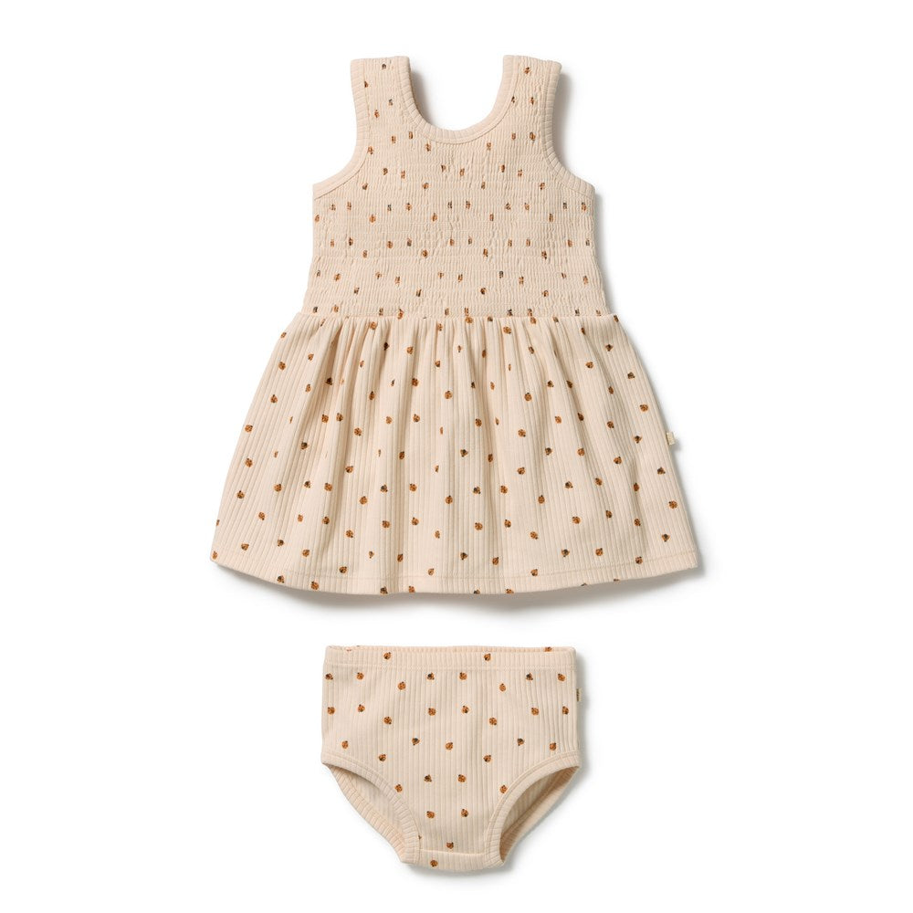 Little Lady Bugs Organic Dress Set