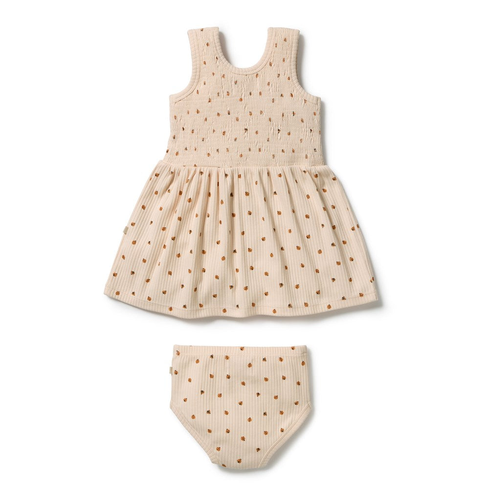 Little Lady Bugs Organic Dress Set