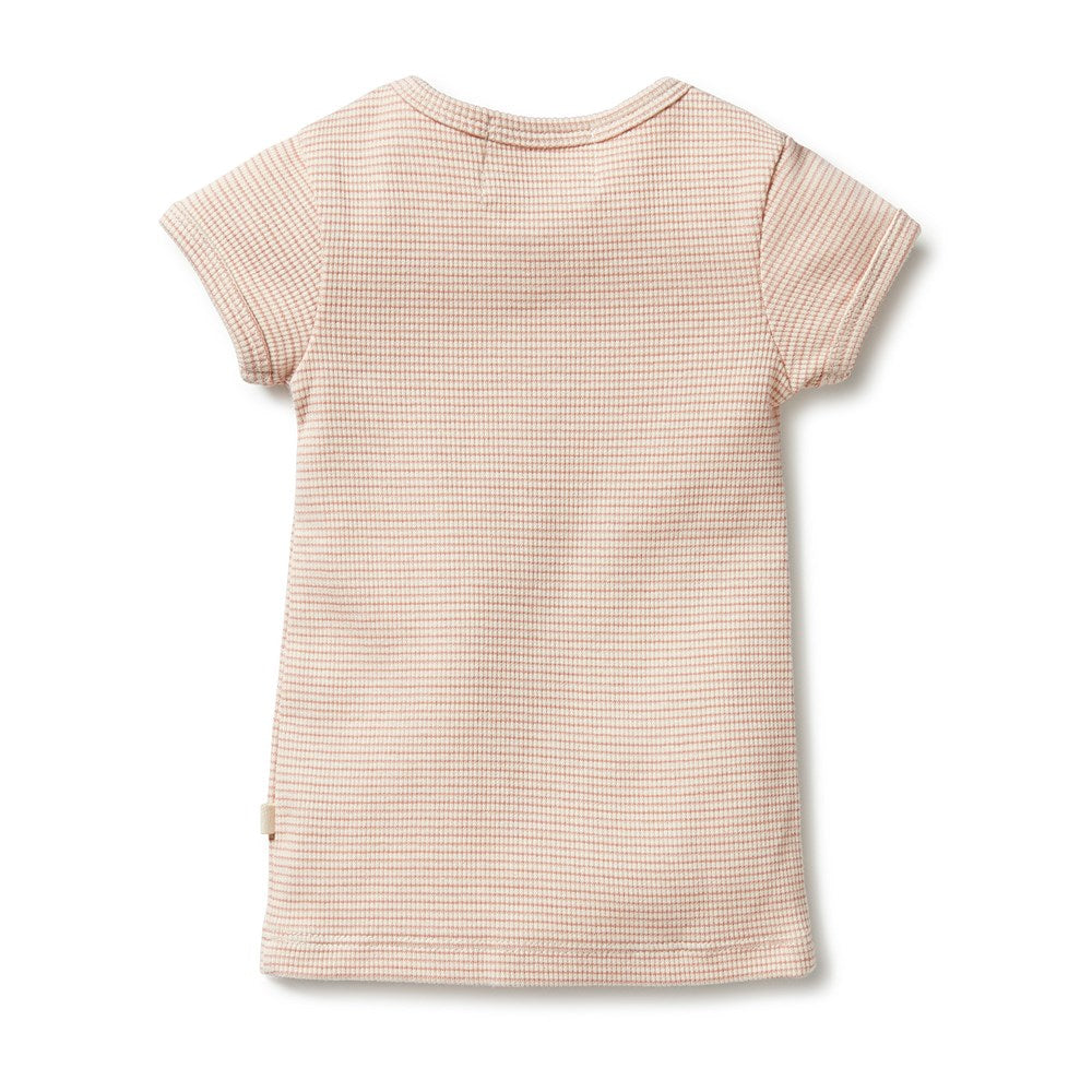 Organic Stripe Rib Henley Tee