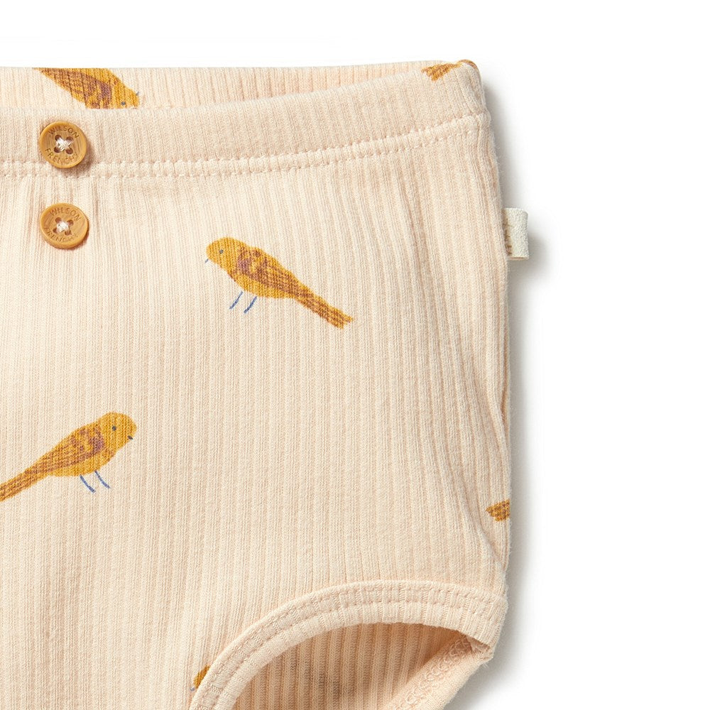 Organic Rib Nappy Pant