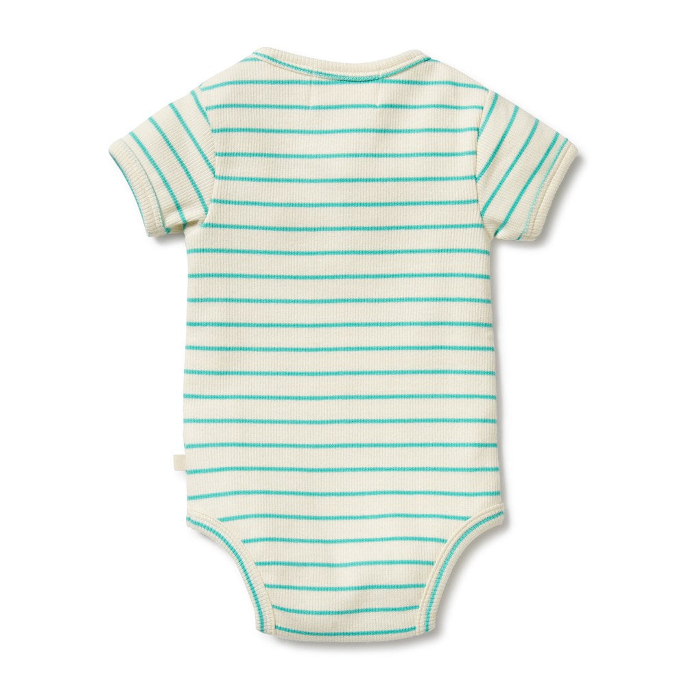 Petit Green Organic Henley Bodysuit