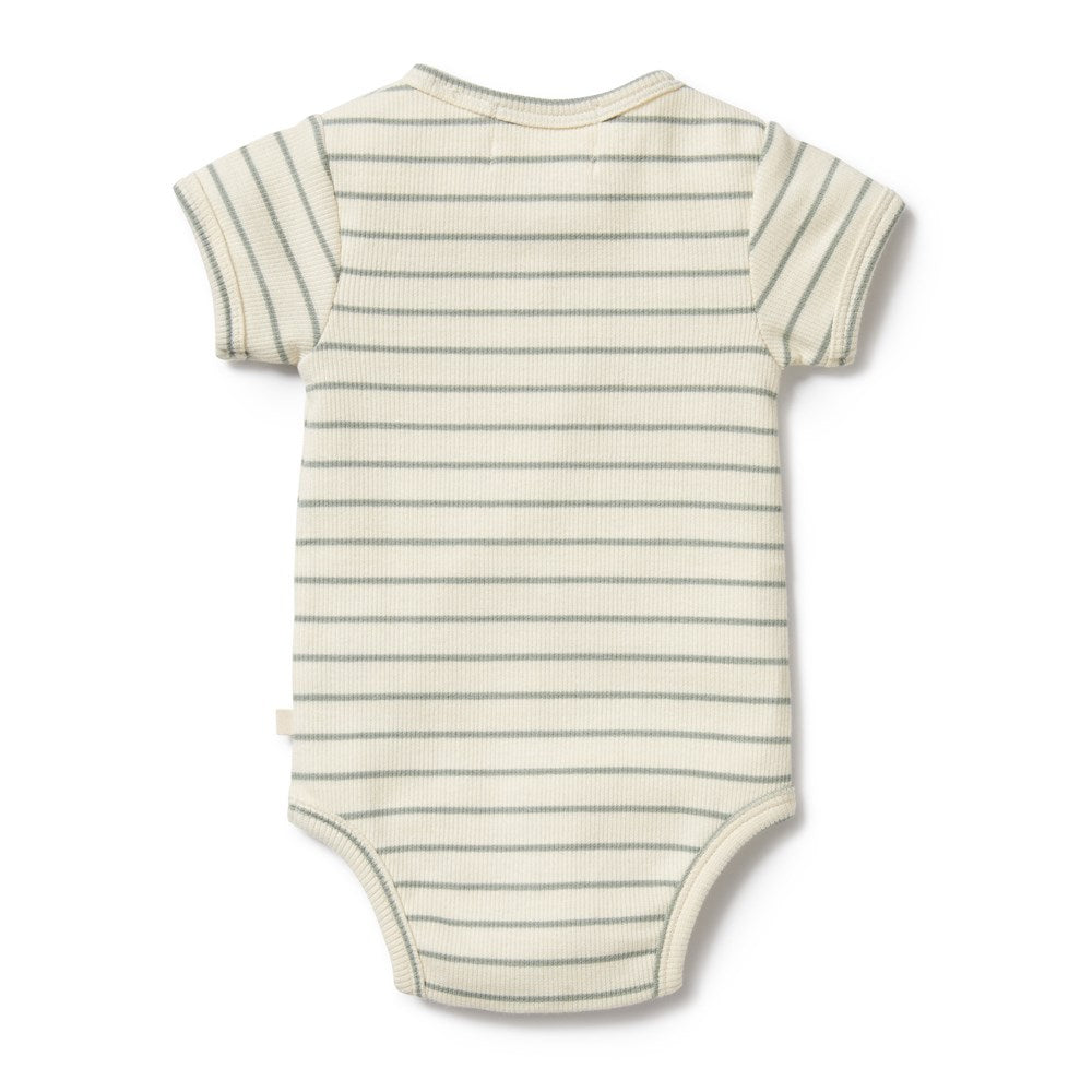 Petit Sage Organic Henley Bodysuit