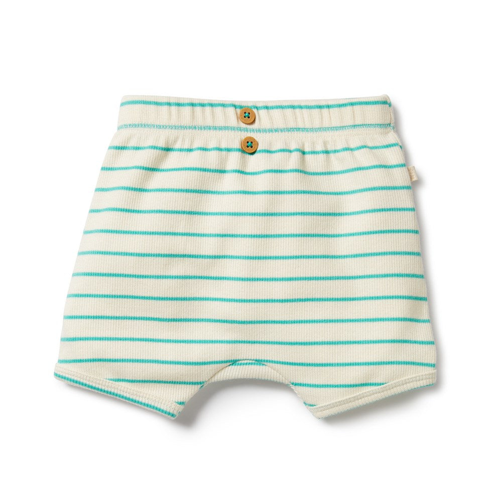Petit Green Organic Short
