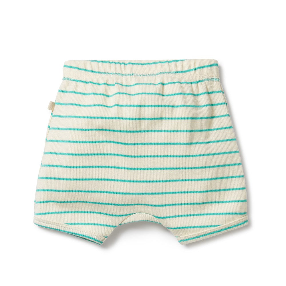 Petit Green Organic Short