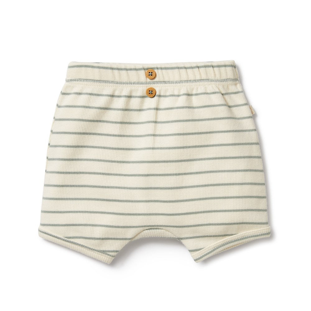 Petit Sage Organic Short