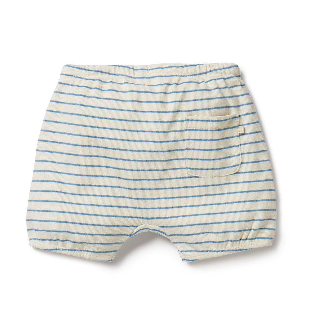 Petit Blue Organic Bloomer Short