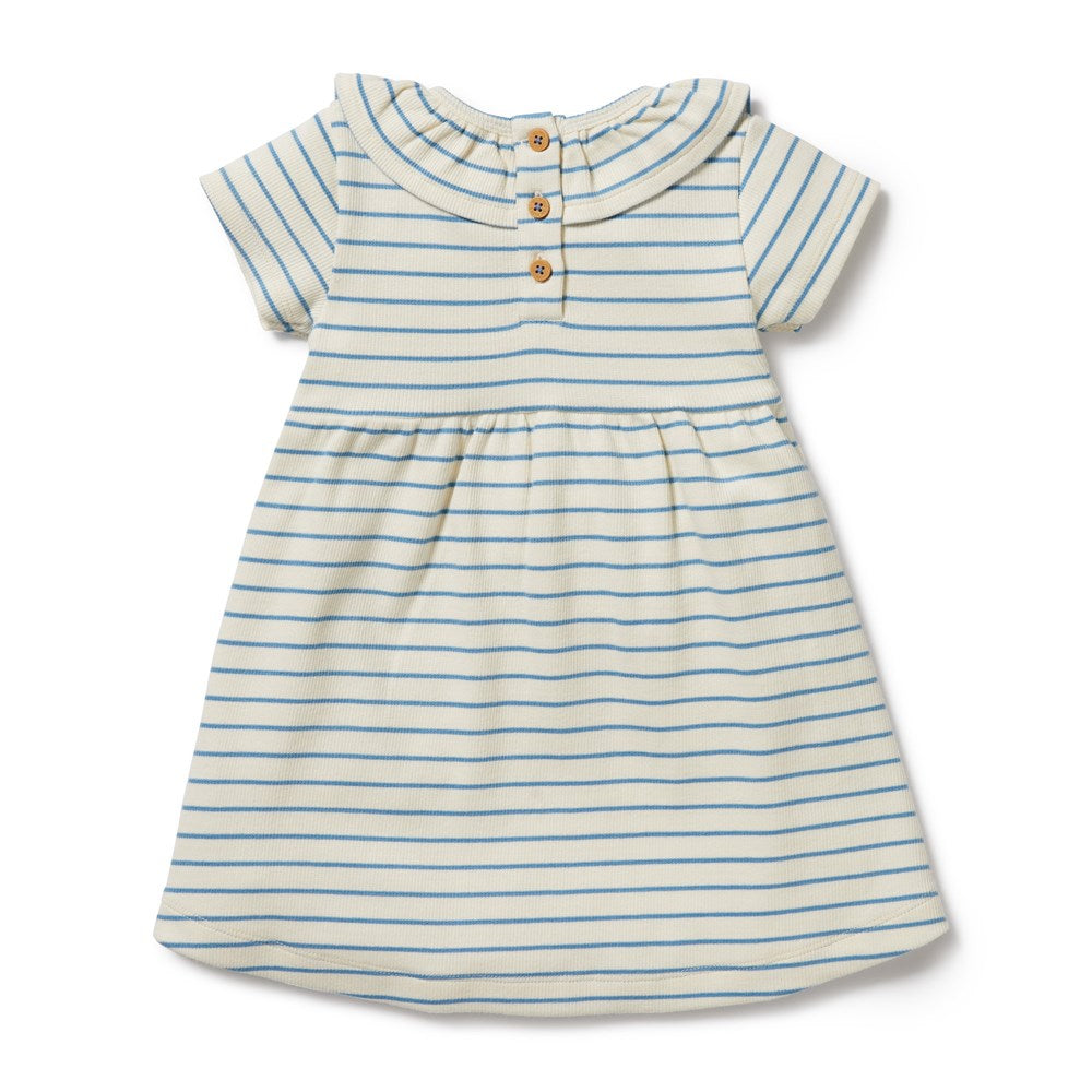 Petit Blue Organic Ruffle Dress