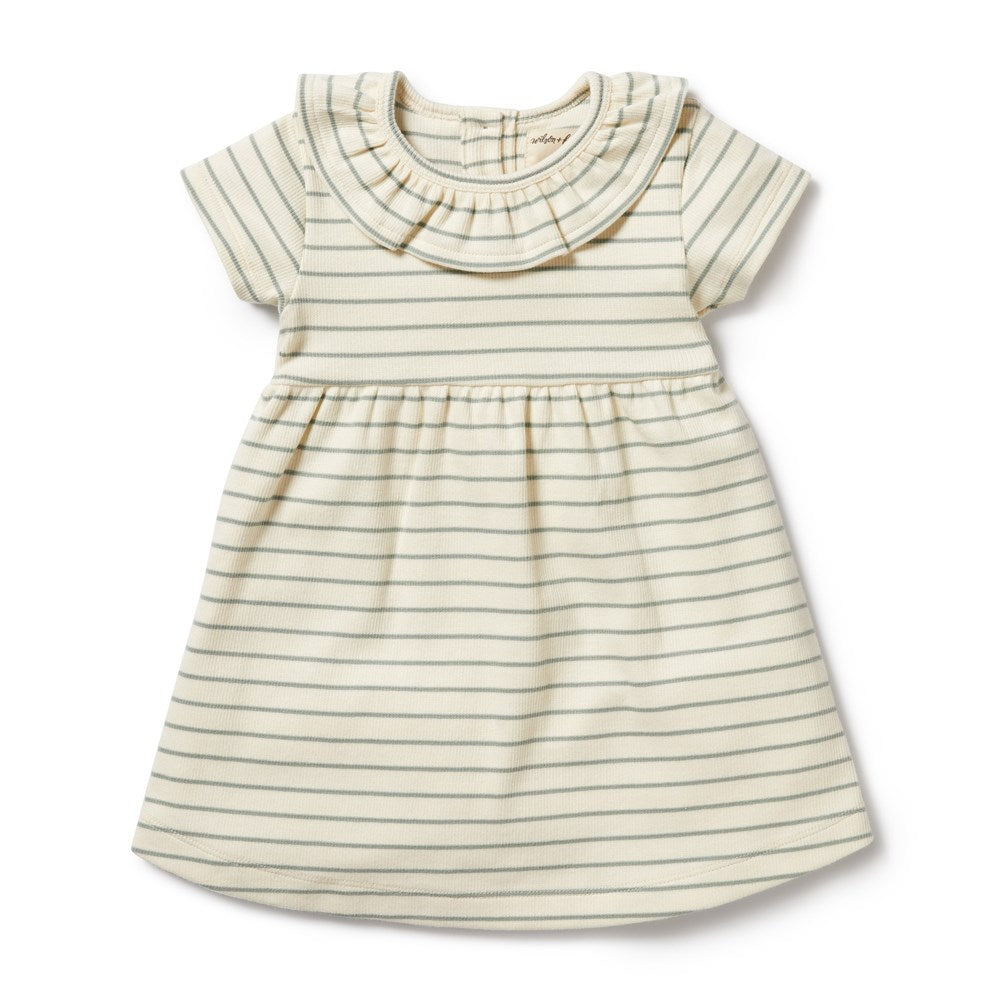 Petit Sage Organic Ruffle Dress
