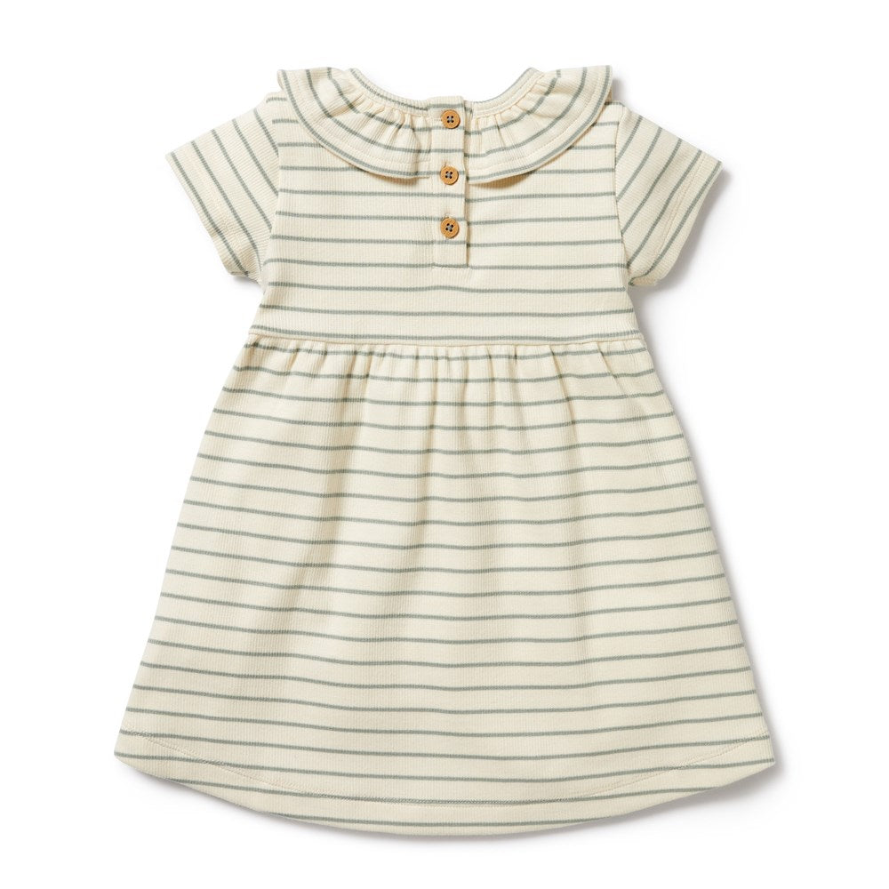 Petit Sage Organic Ruffle Dress