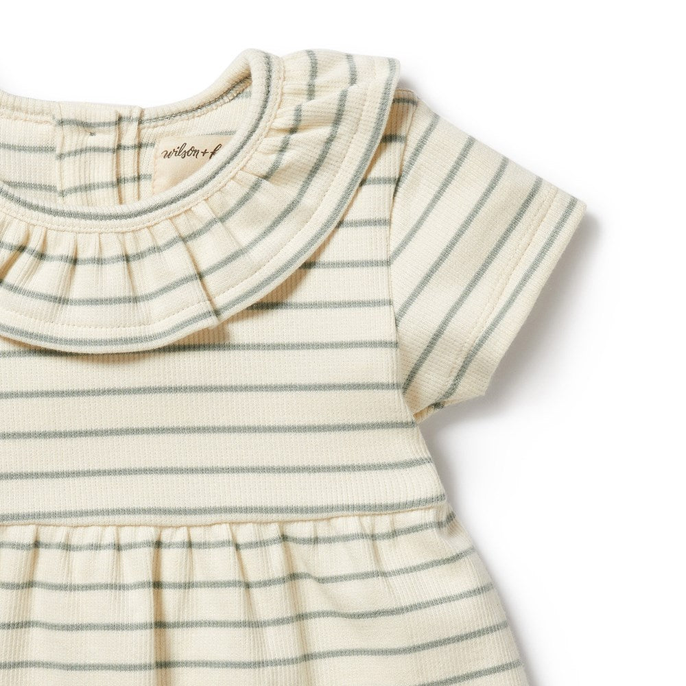 Petit Sage Organic Ruffle Dress