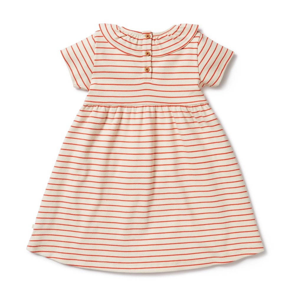 Petit Rouge Organic Ruffle Dress