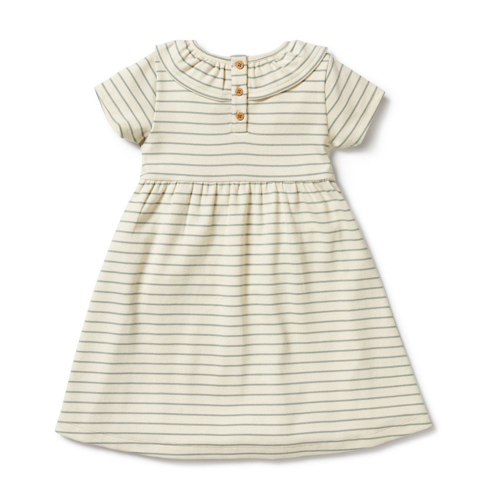 Petit Sage Organic Ruffle Dress