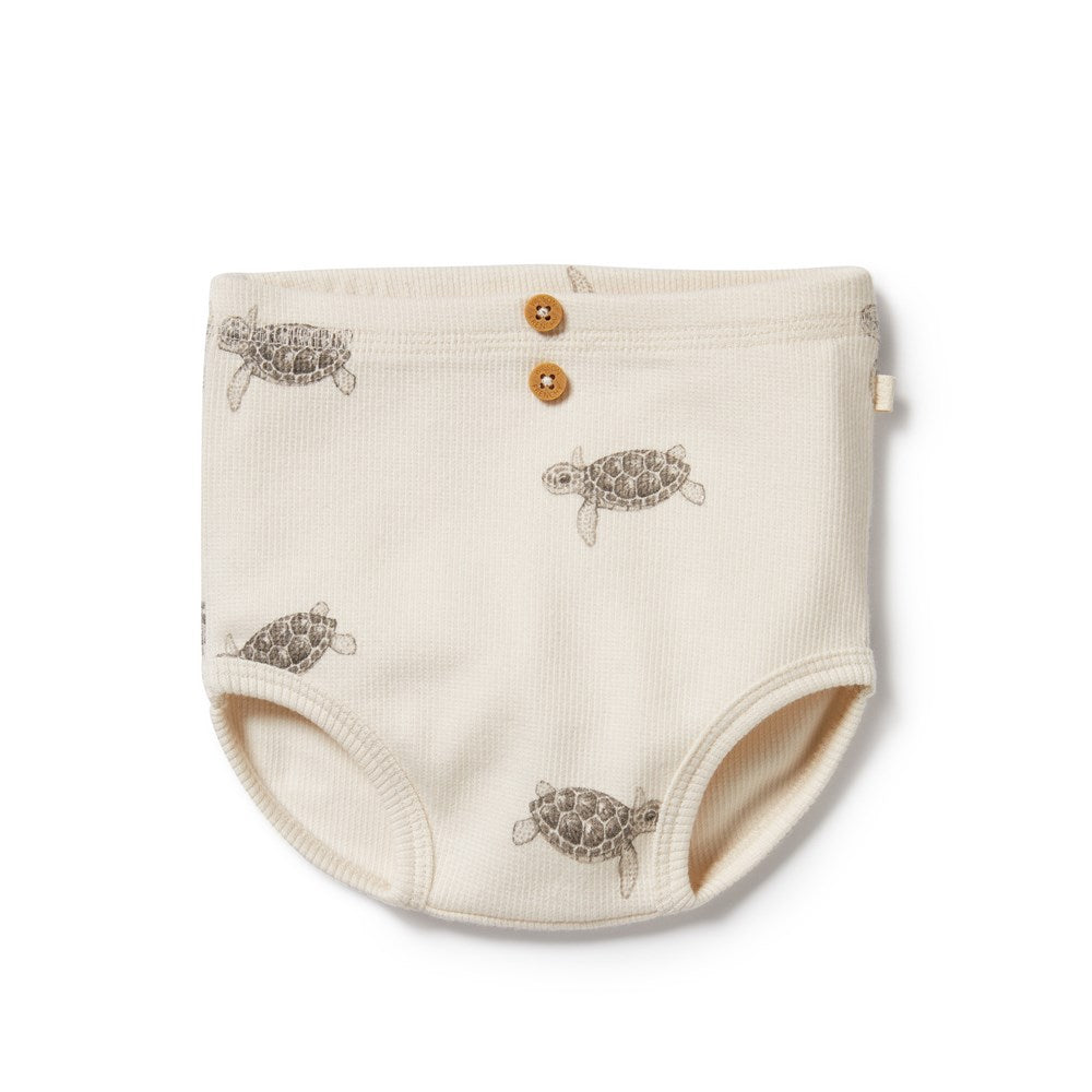 Tiny Turtle Organic Nappy Pant