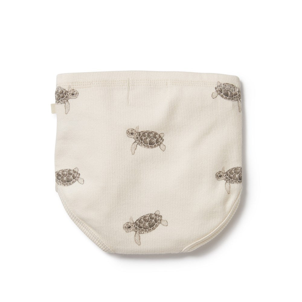 Tiny Turtle Organic Nappy Pant