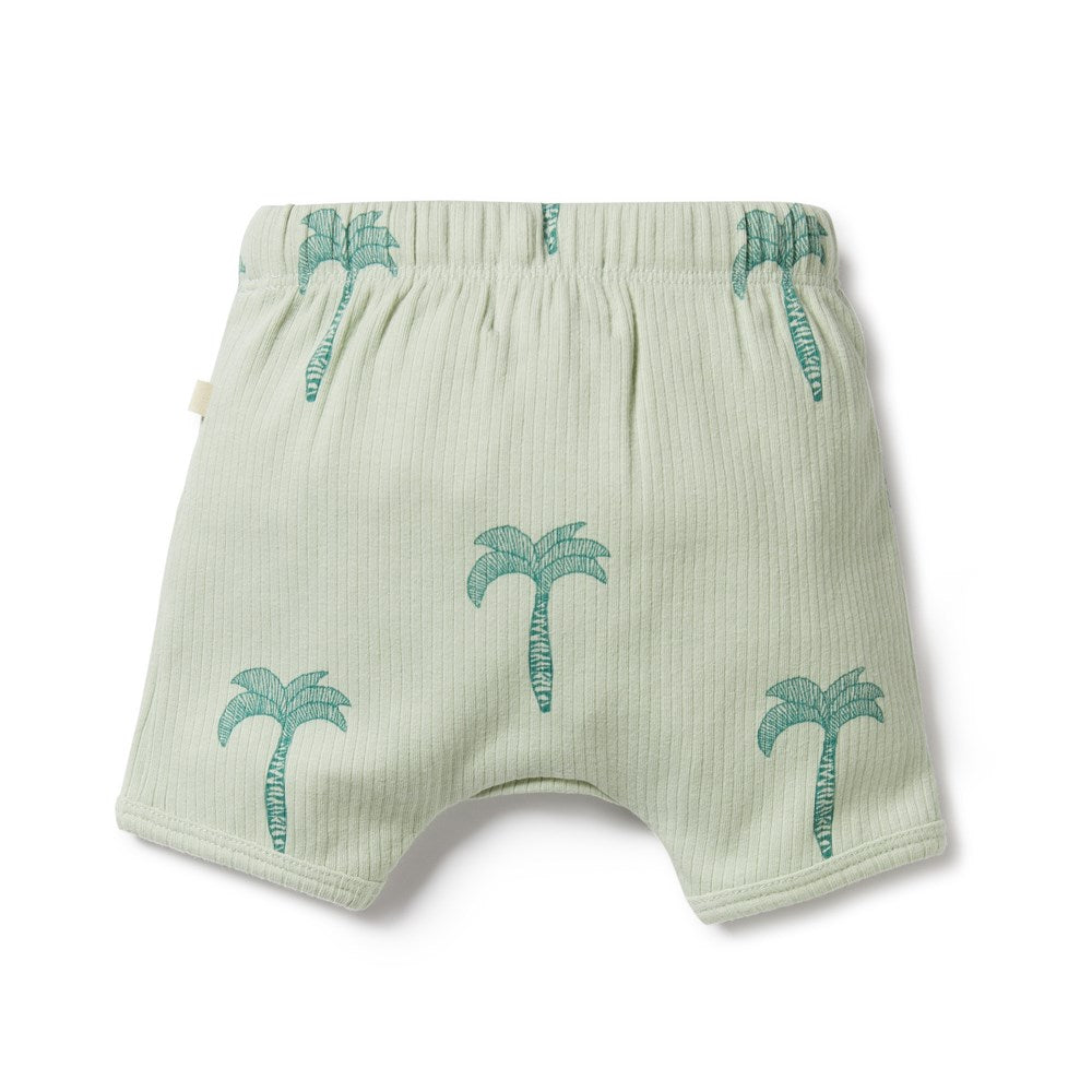 Palm Tree Organic Rib Short