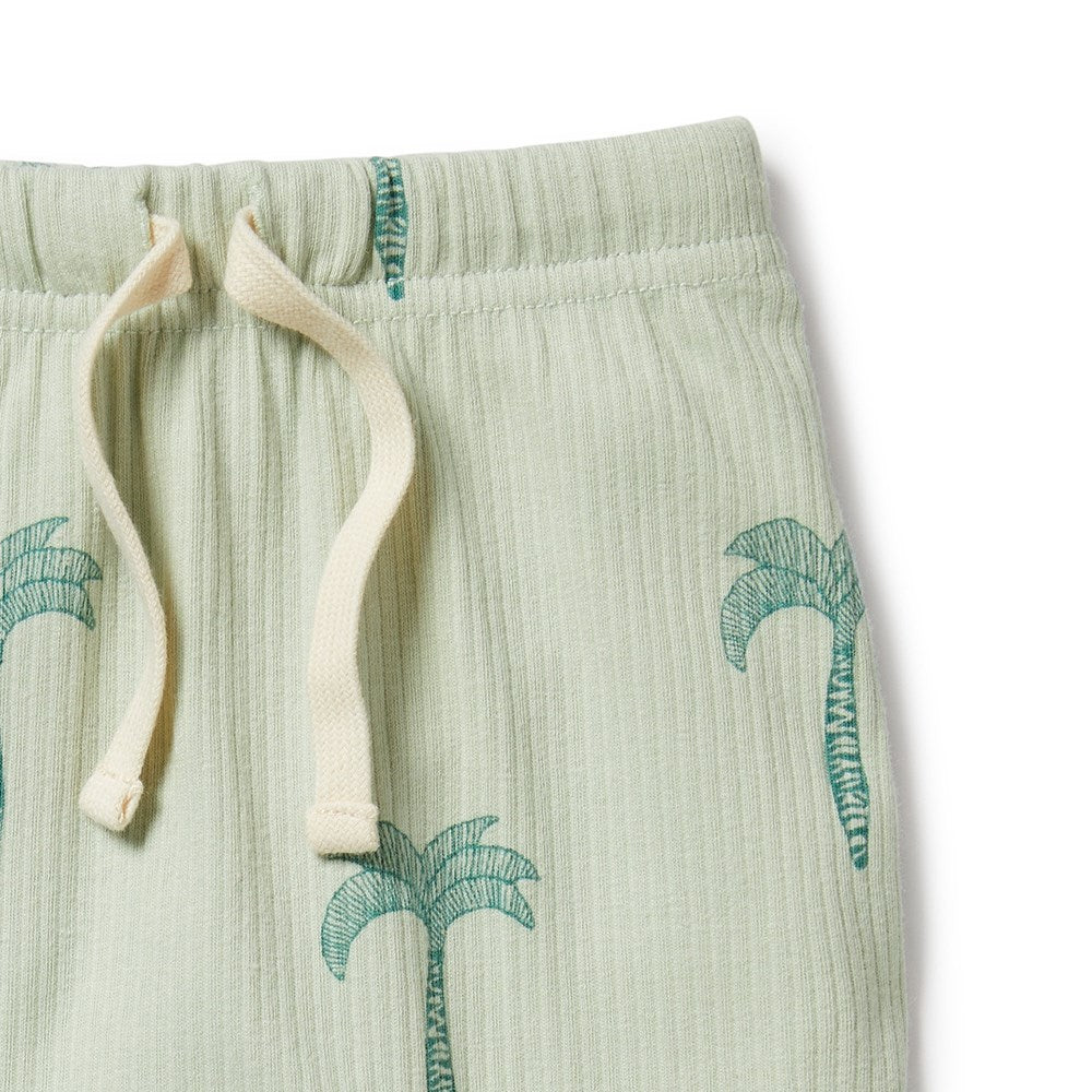 Palm Tree Organic Rib Pant