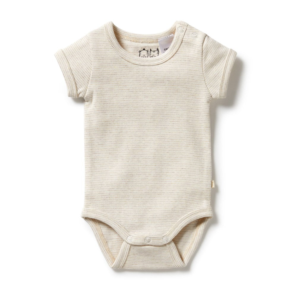 Organic Stripe Rib Bodysuit