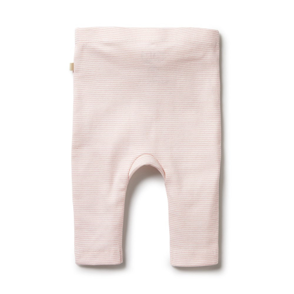 Organic Stripe Rib Legging