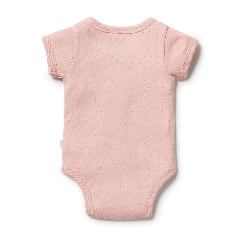 Organic Pointelle Kimono Bodysuit