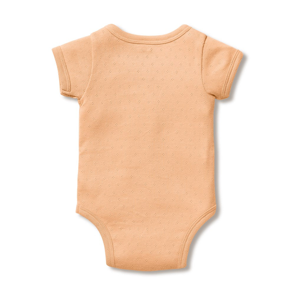 Organic Pointelle Kimono Bodysuit