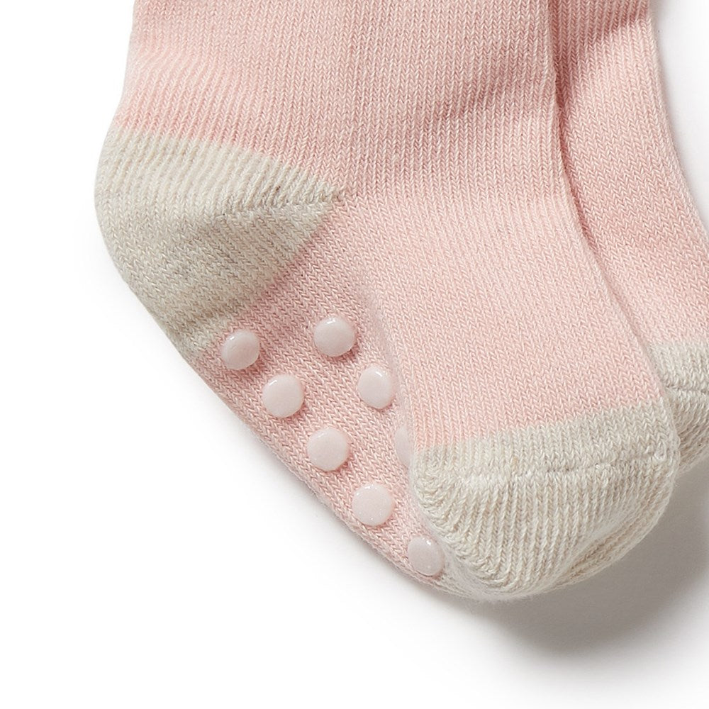 3 Pack Baby Socks