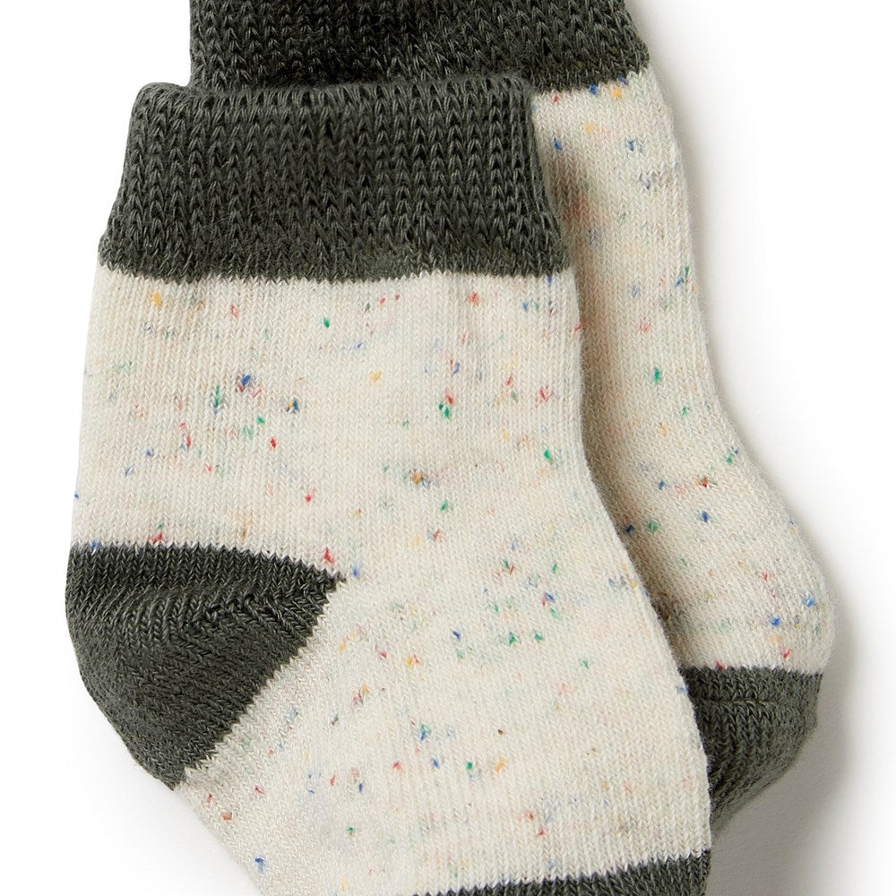 Organic 3 Pack Baby Socks
