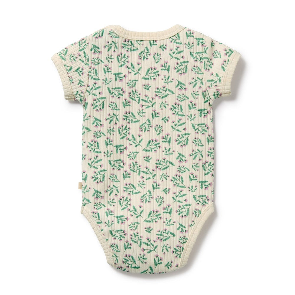 Periwinkle Organic Bodysuit
