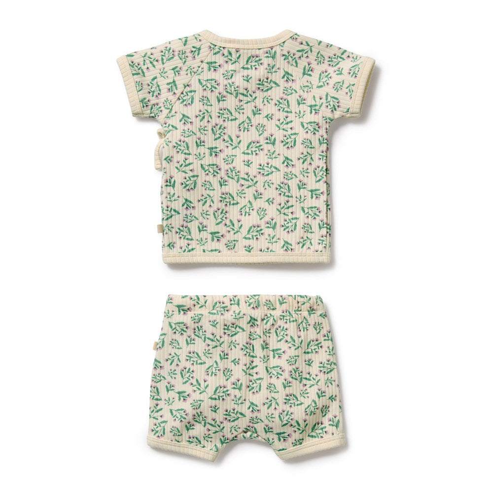 Periwinkle Organic Kimono Set