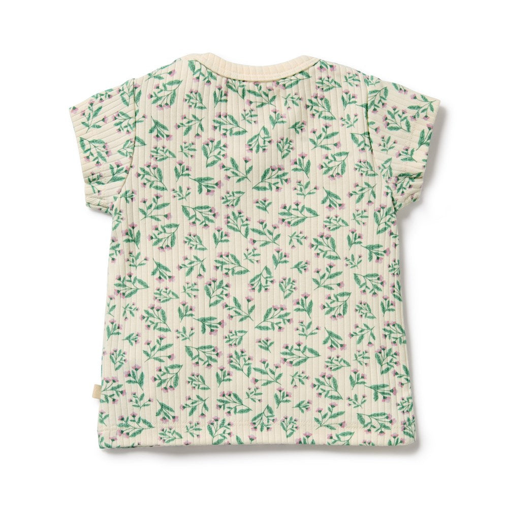 Periwinkle Organic Tee