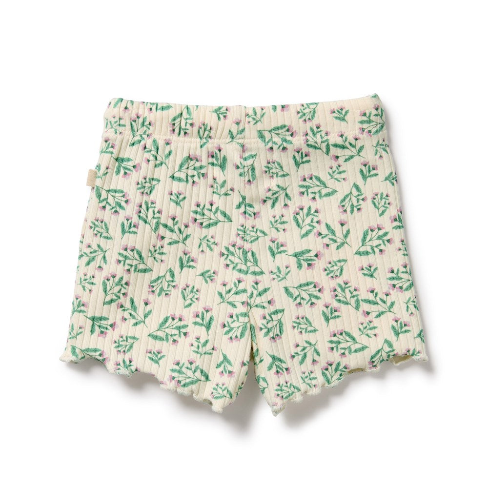 Periwinkle Organic Short