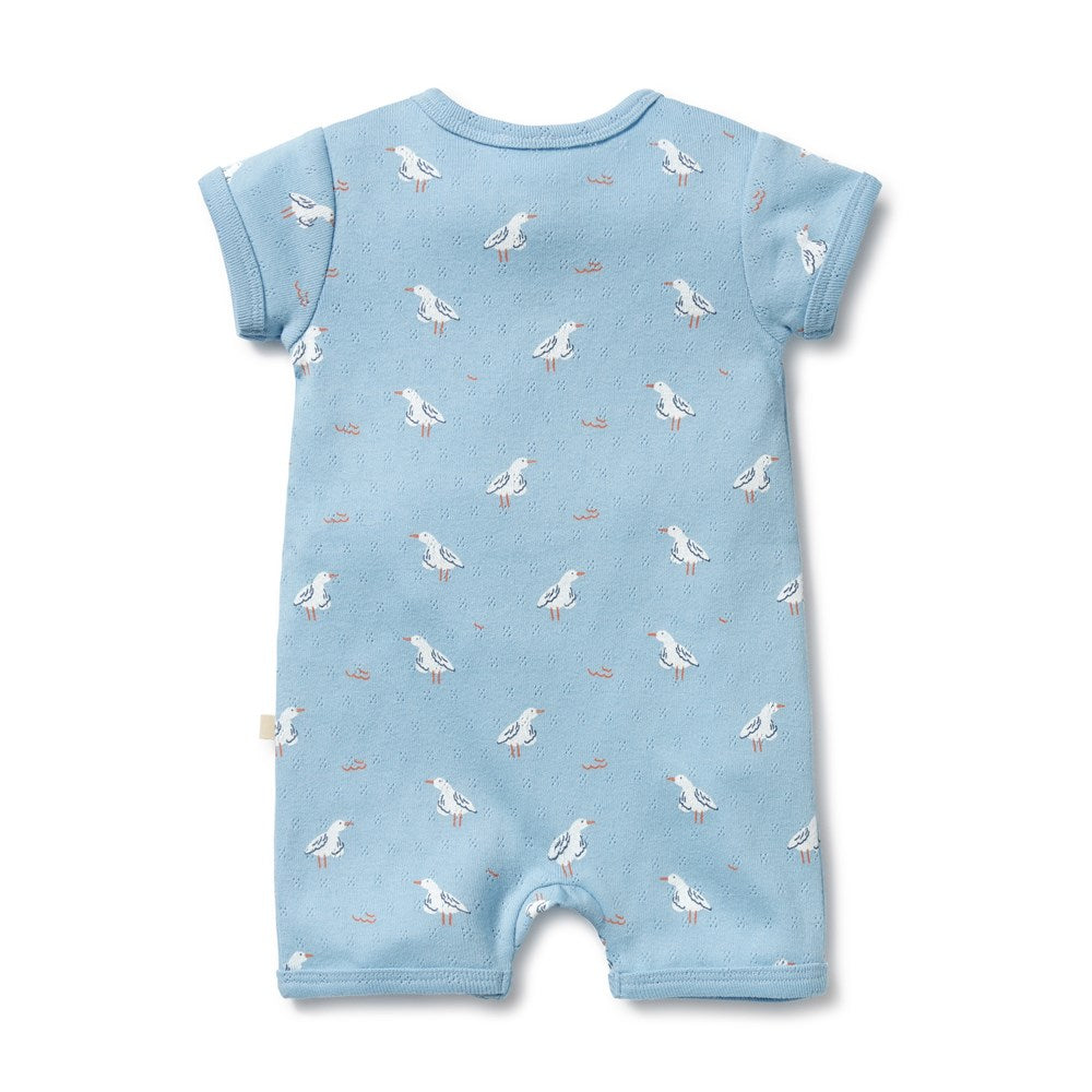 Sunny Seagulls Organic Pointelle Boyleg Zipsuit
