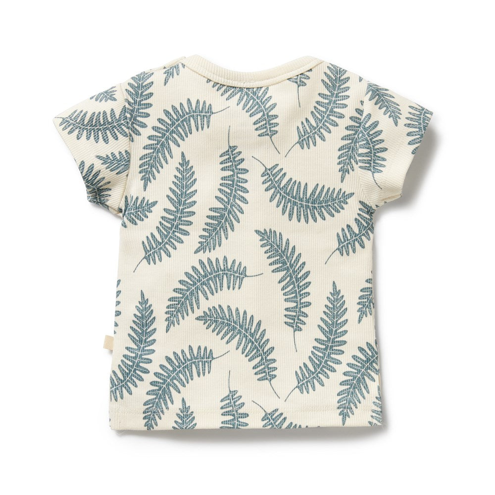 Little Fronds Organic Tee