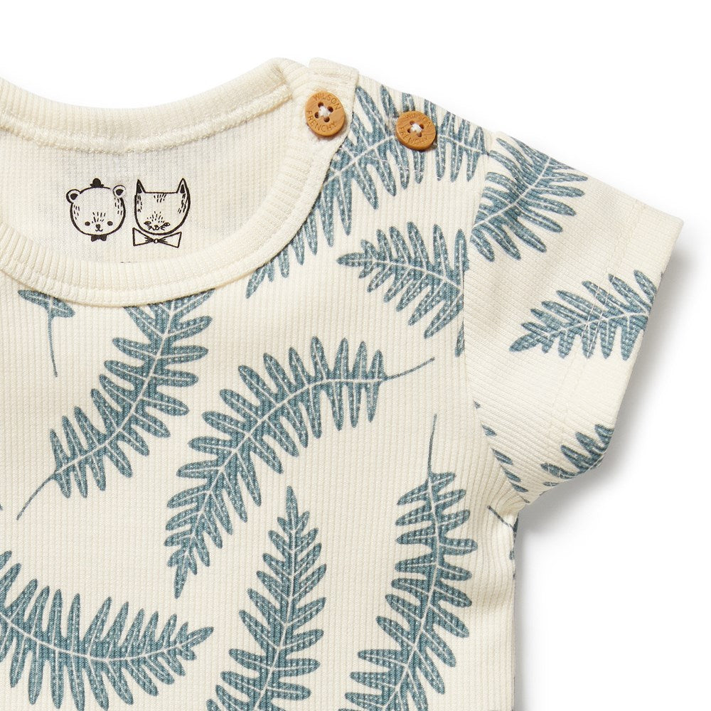 Little Fronds Organic Tee