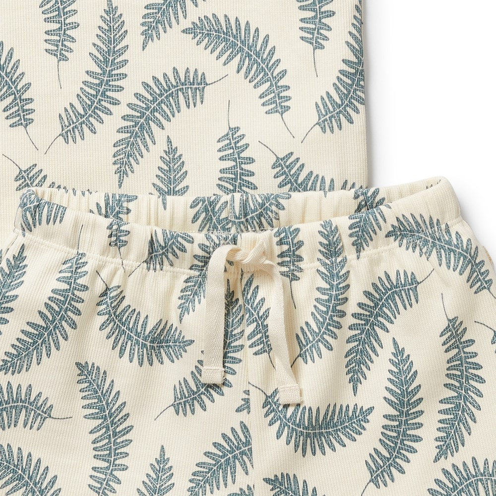 Little Fronds Organic Short Sleeved Pyjamas