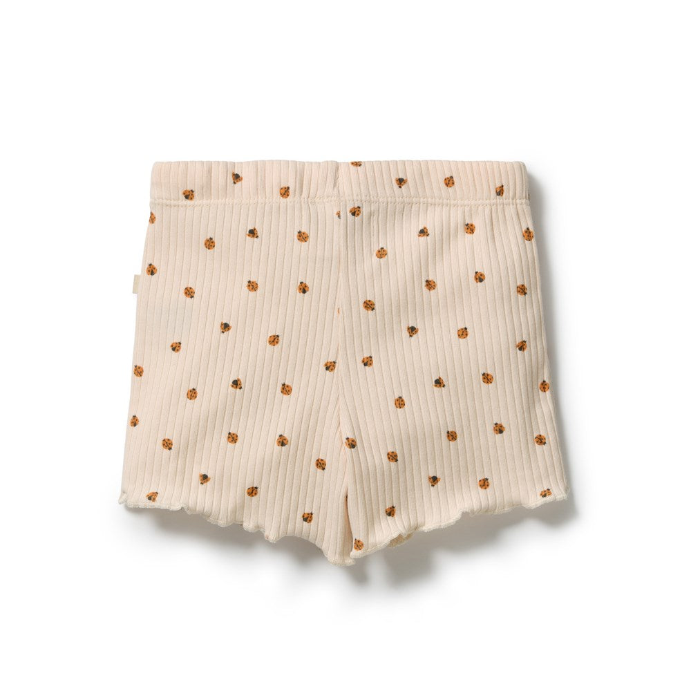 Little Lady Bugs Organic Short