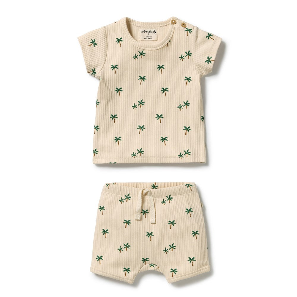 Tiny Palm Organic Set