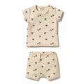 Tiny Palm Organic Set