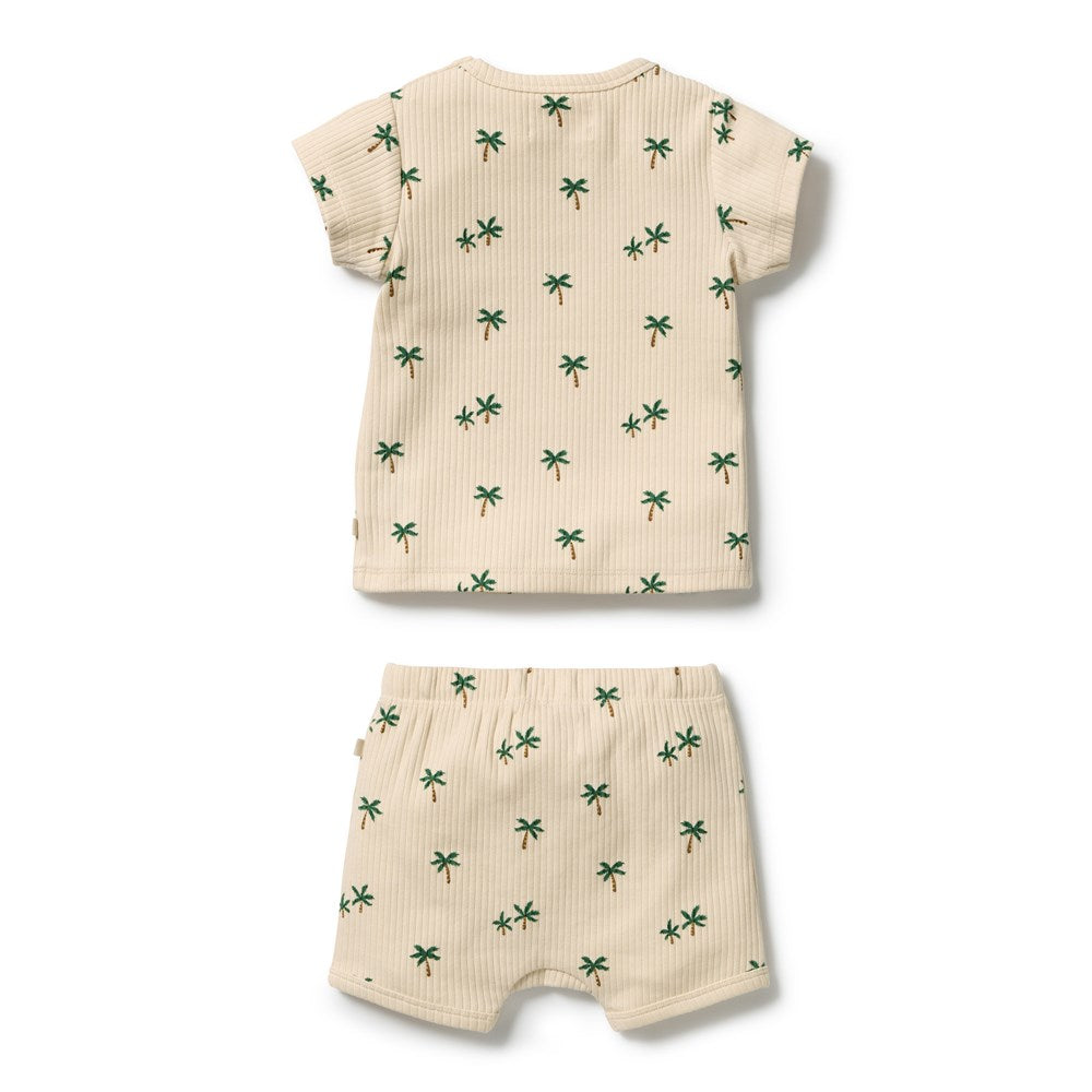Tiny Palm Organic Set