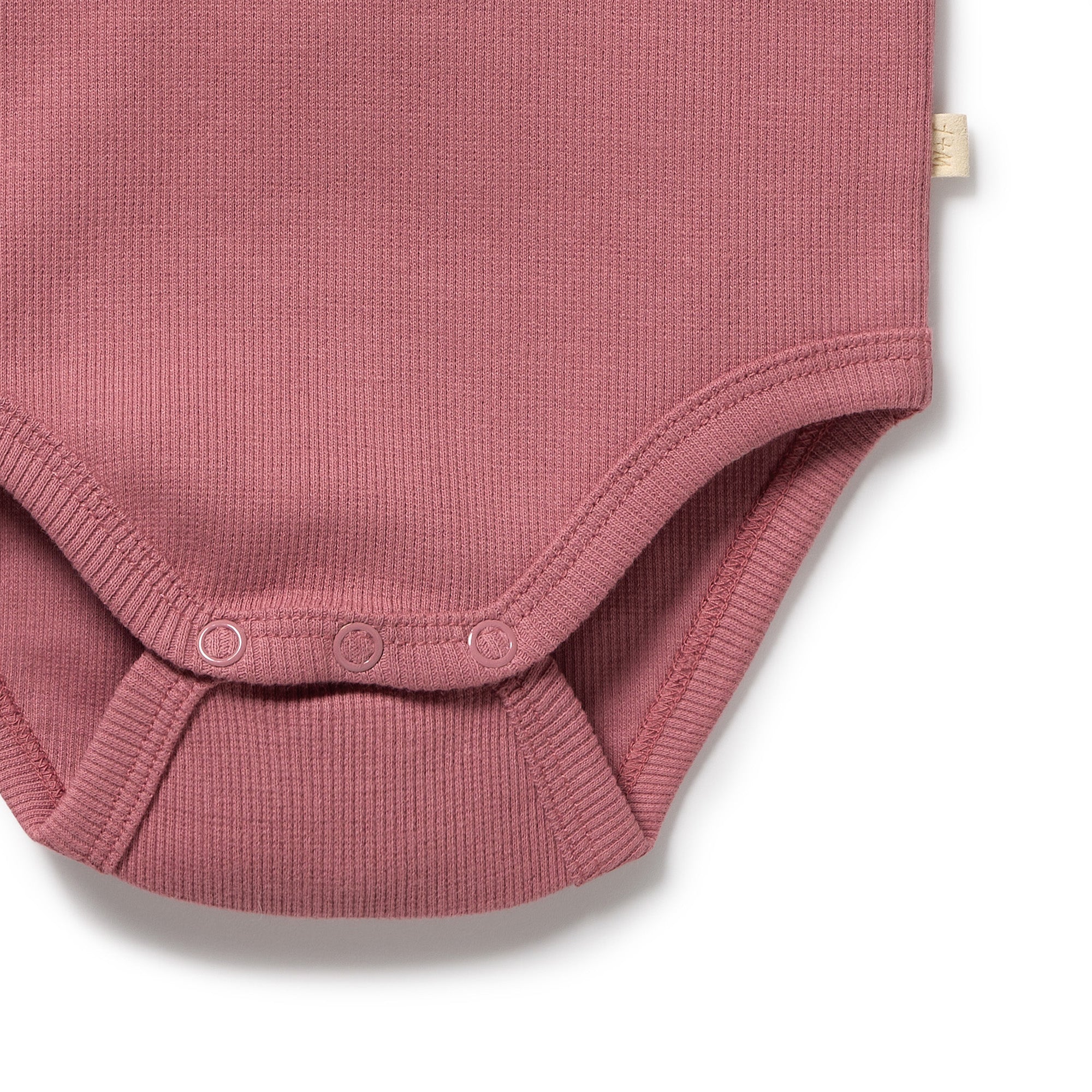 Plum Organic Rib long-sleeved Bodysuit