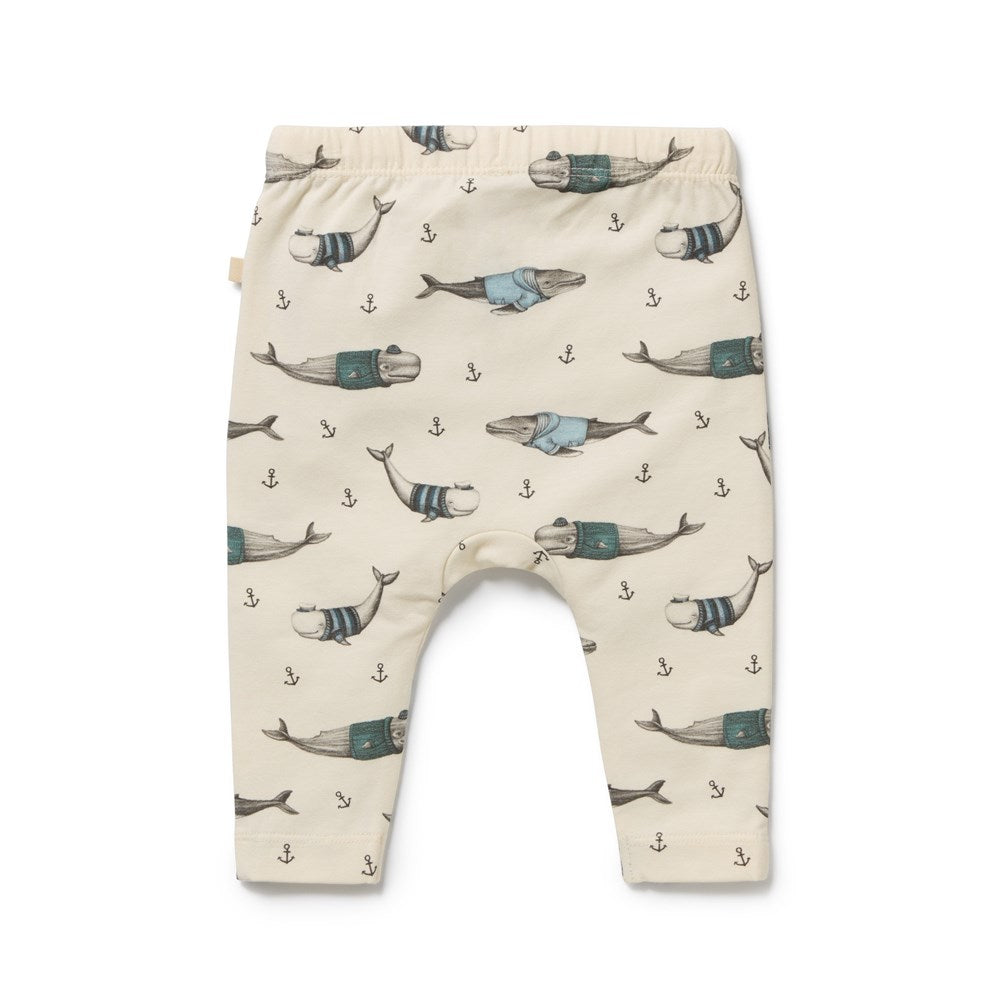 Woolly Whales Organic Legging