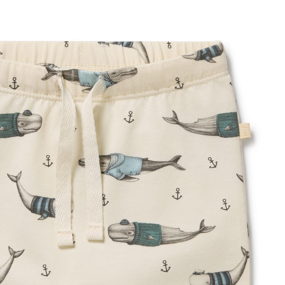 Woolly Whales Organic Legging