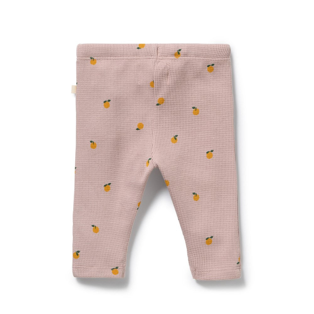 Mini Mando Organic Waffle Legging