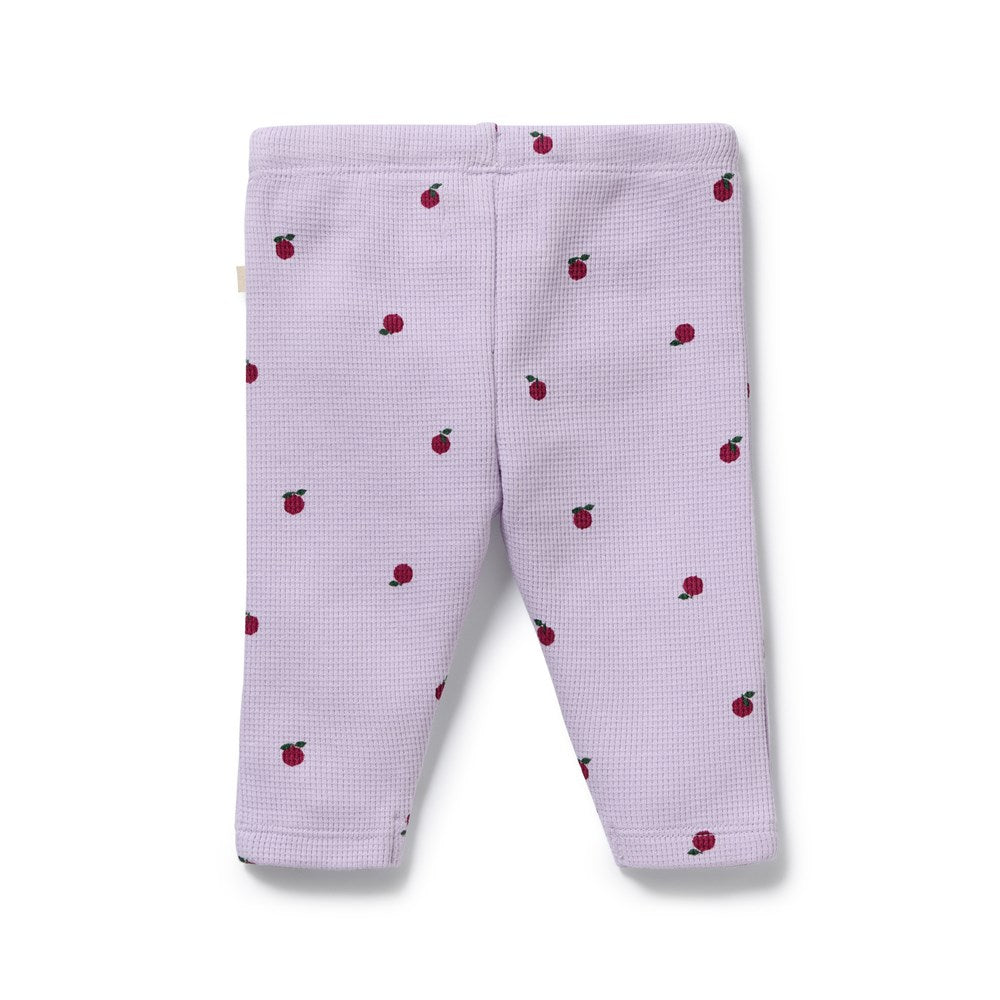 Berry Plums Organic Waffle Legging