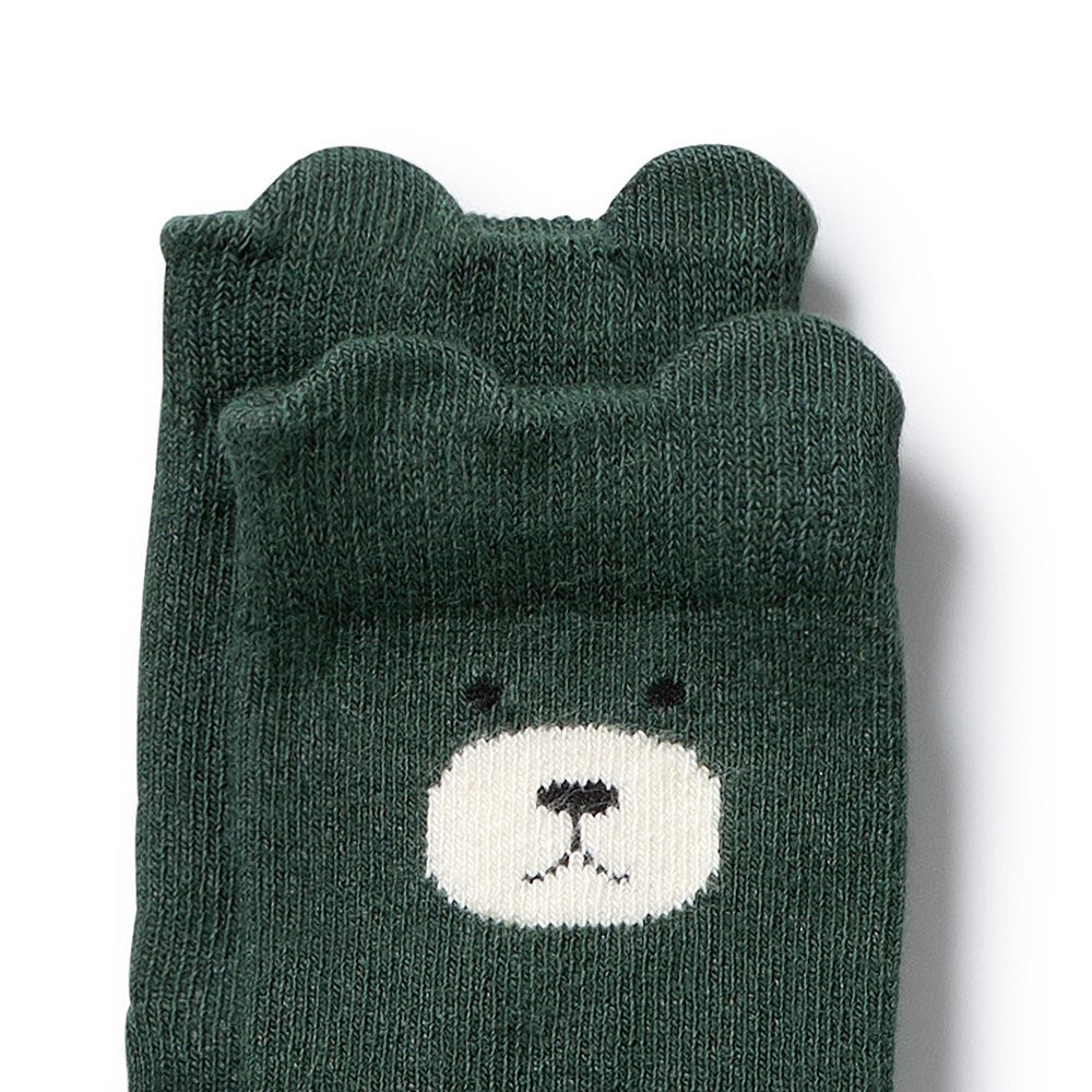 Boys Organic 4 Pack Baby Socks