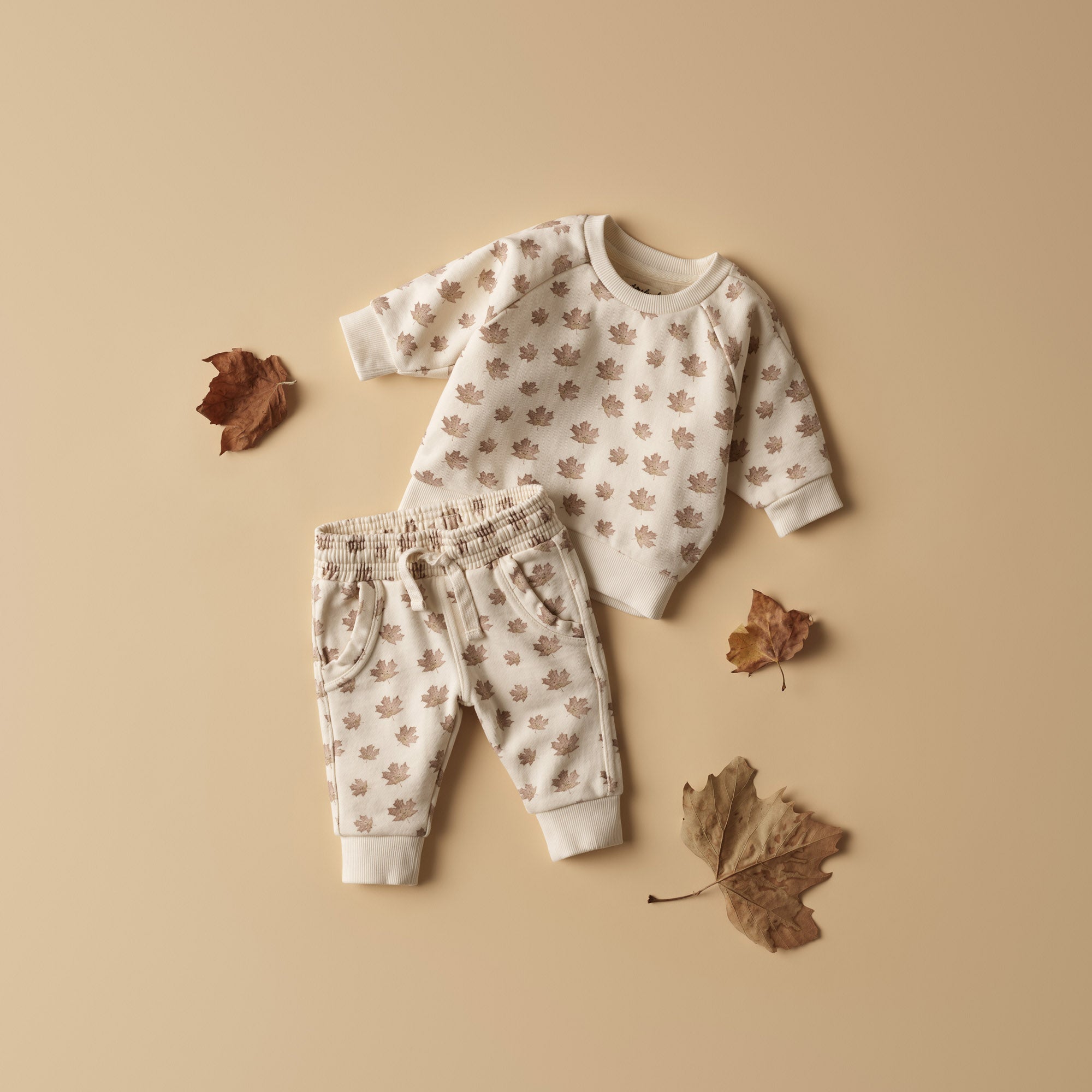 Autumn Play Organic Terry Sweat
