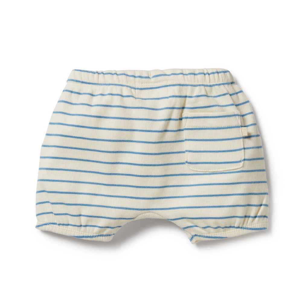 Petit Blue Organic Bloomer Short